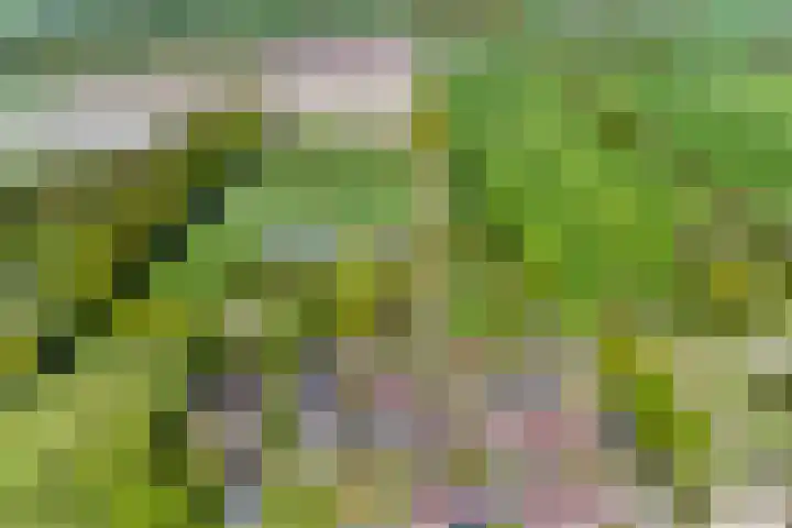 Uthôf 6 Siegerswoude thumbnail 59