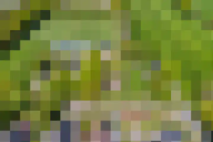 Uthôf 6 Siegerswoude thumbnail 6