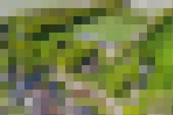 Uthôf 6 Siegerswoude thumbnail 7