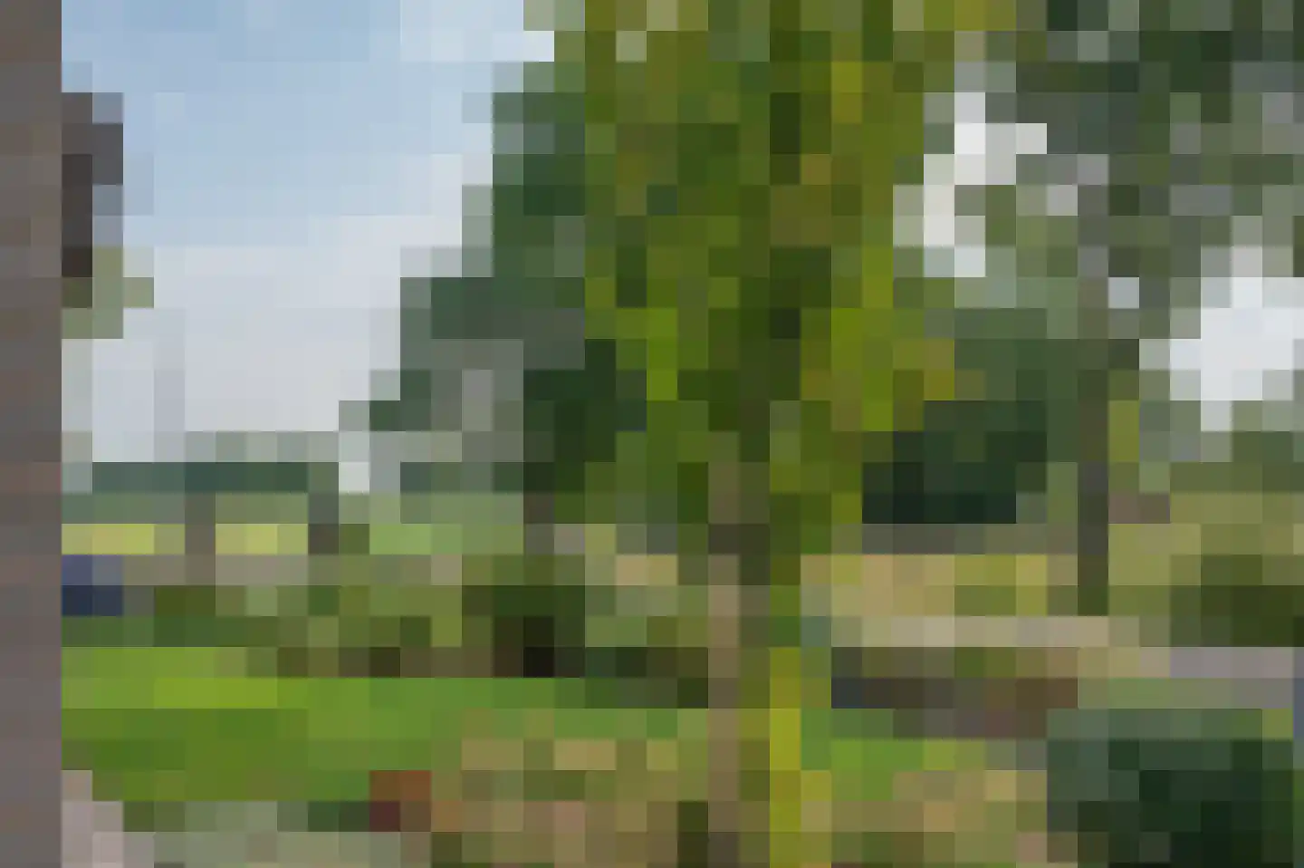 Uthôf 7 Siegerswoude thumbnail 19