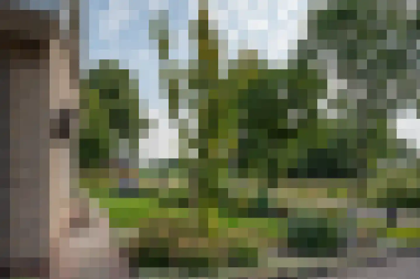 Uthôf 7 Siegerswoude thumbnail 21