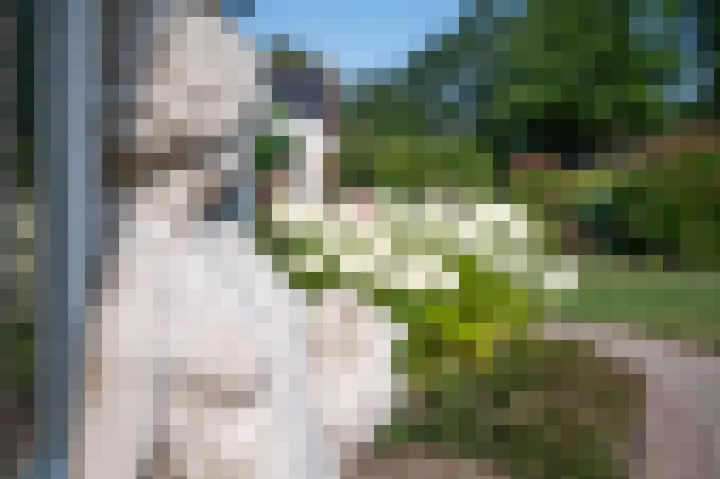 Uthôf 7 Siegerswoude thumbnail 23