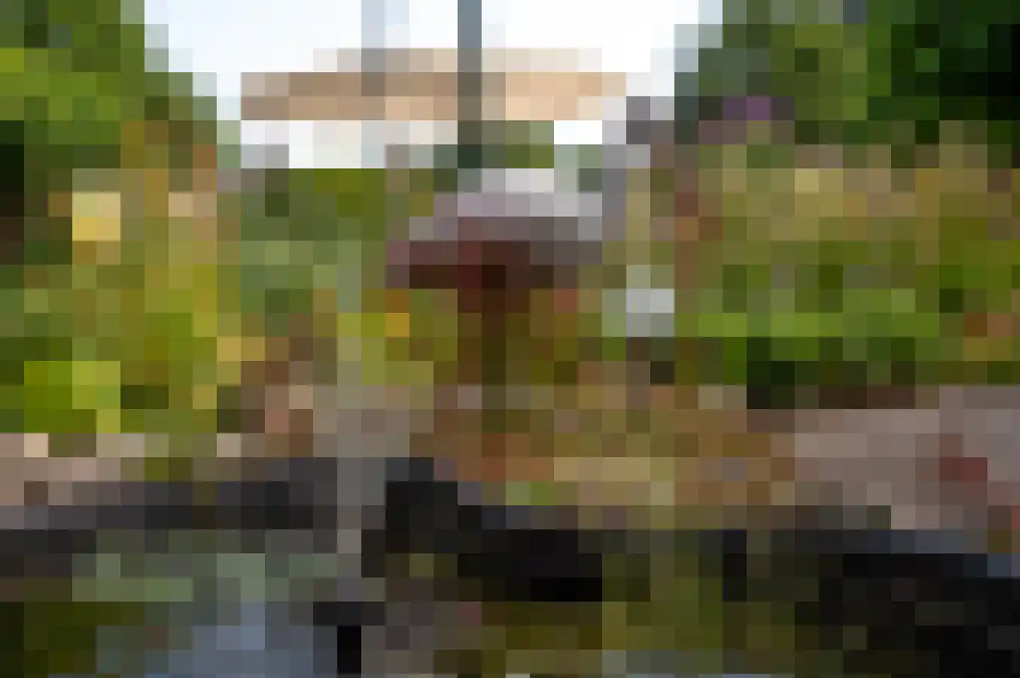 Uthôf 7 Siegerswoude thumbnail 25