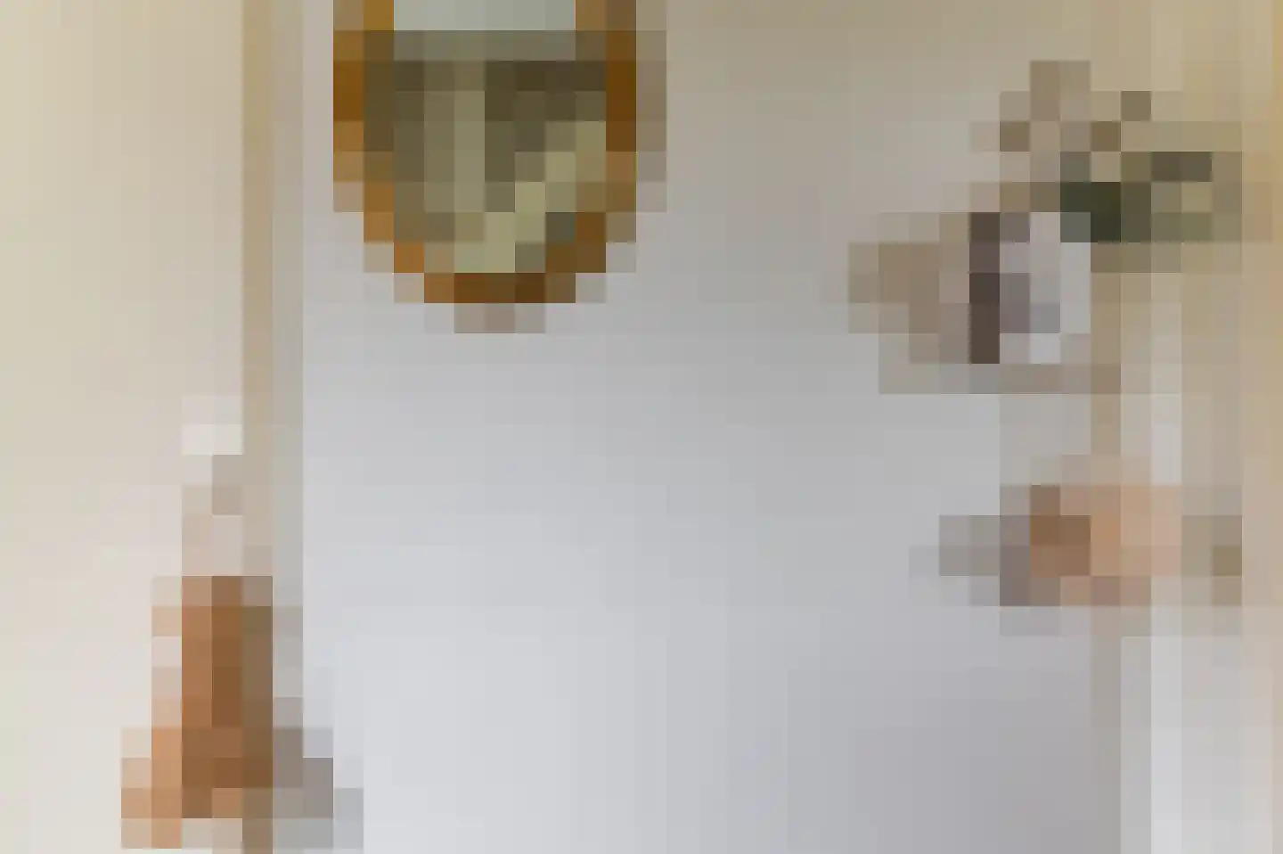 Uthôf 7 Siegerswoude thumbnail 30