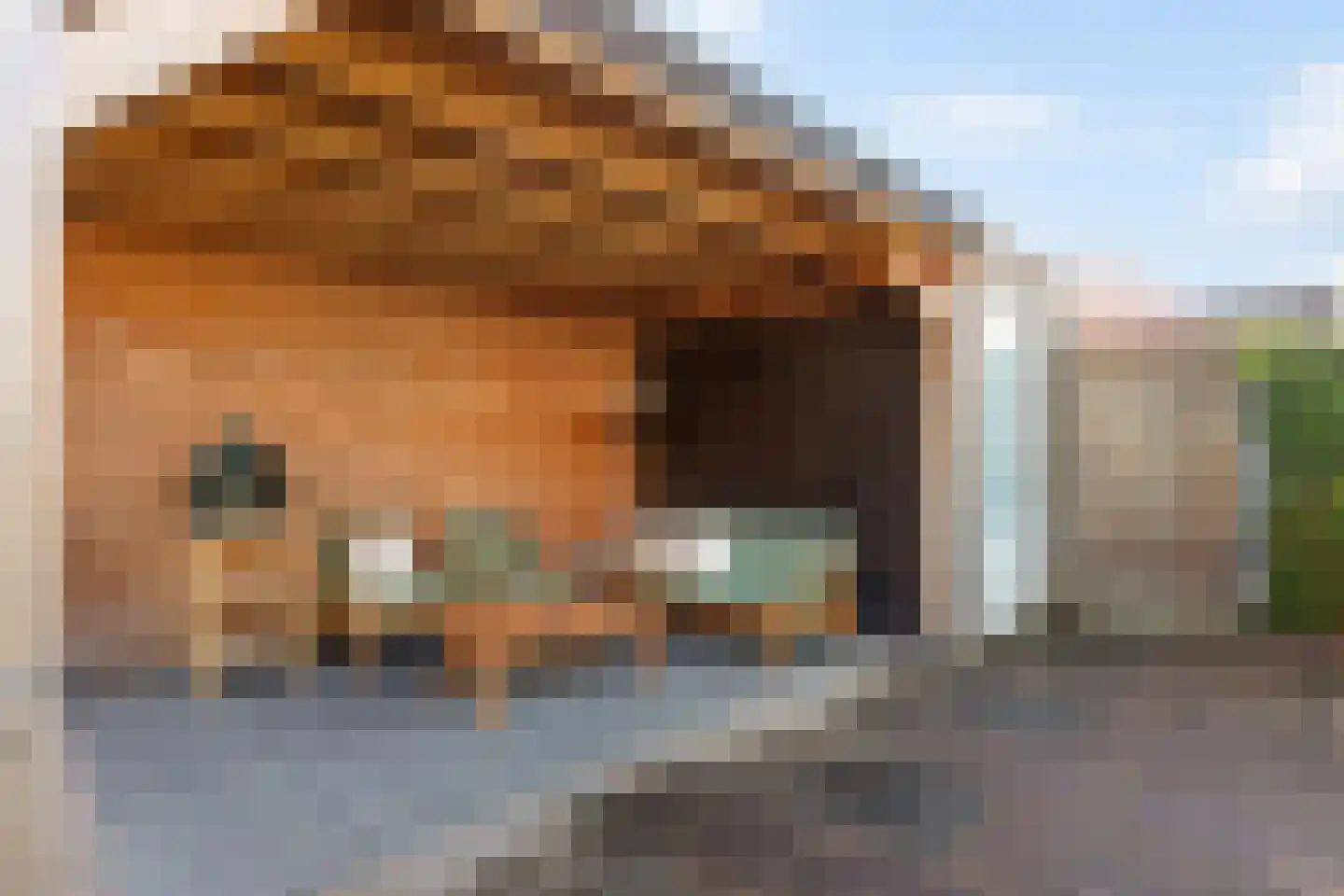 Utrechtlaan 100 Enschede thumbnail 19