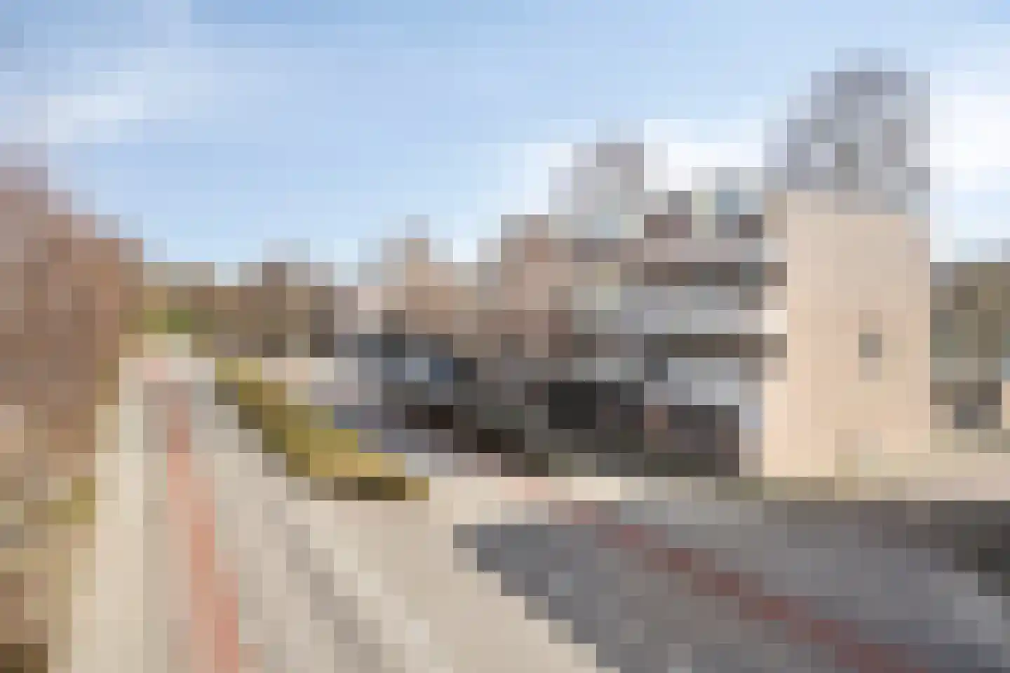 Utrechtlaan 109 Vlaardingen thumbnail 29