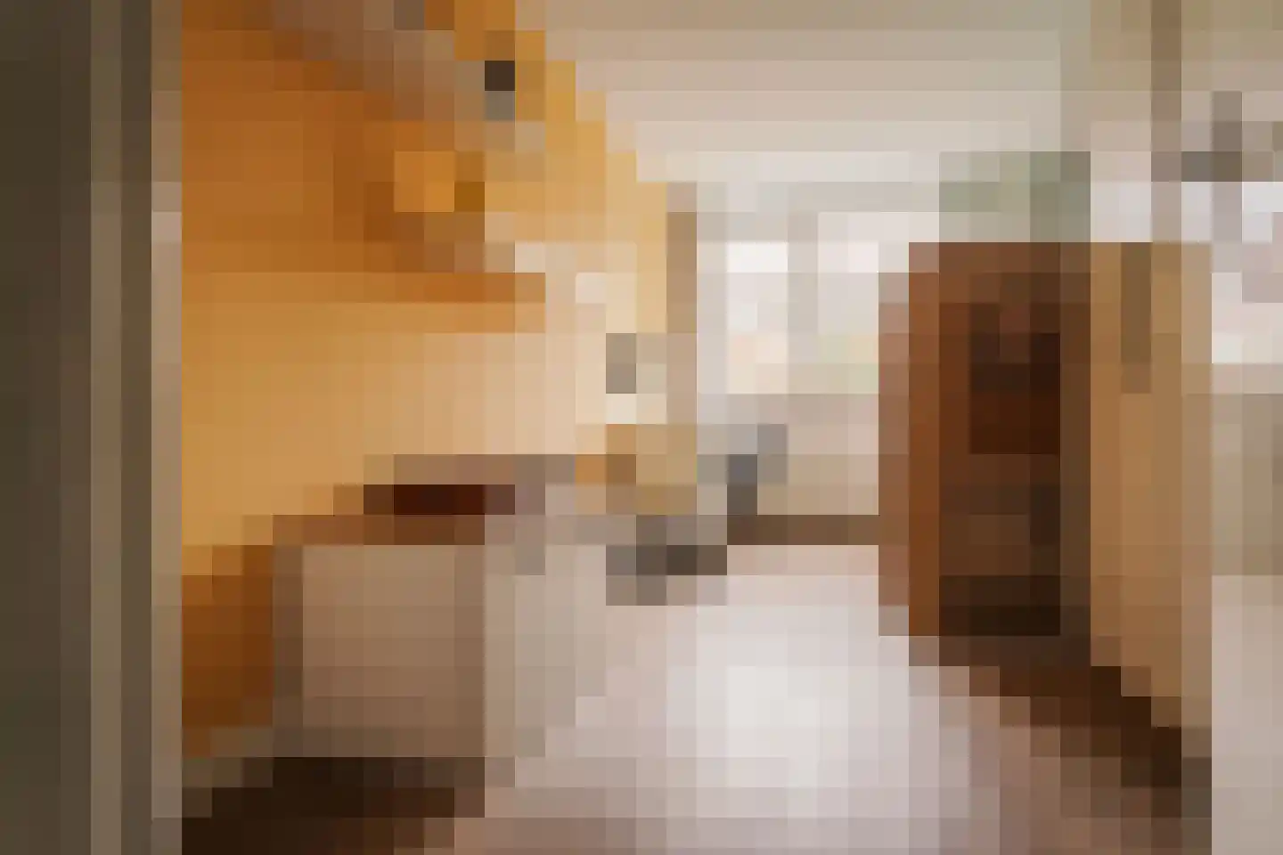Utrechtlaan 11 Heemstede thumbnail 31