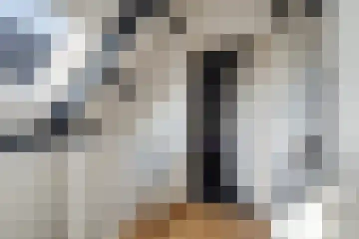 Utrechtlaan 12 Lage Zwaluwe thumbnail 24