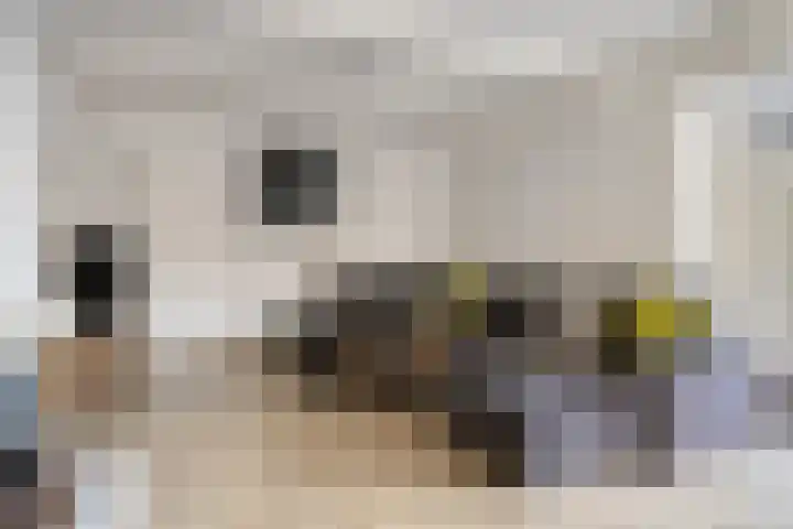 Utrechtlaan 12 Lage Zwaluwe thumbnail 6