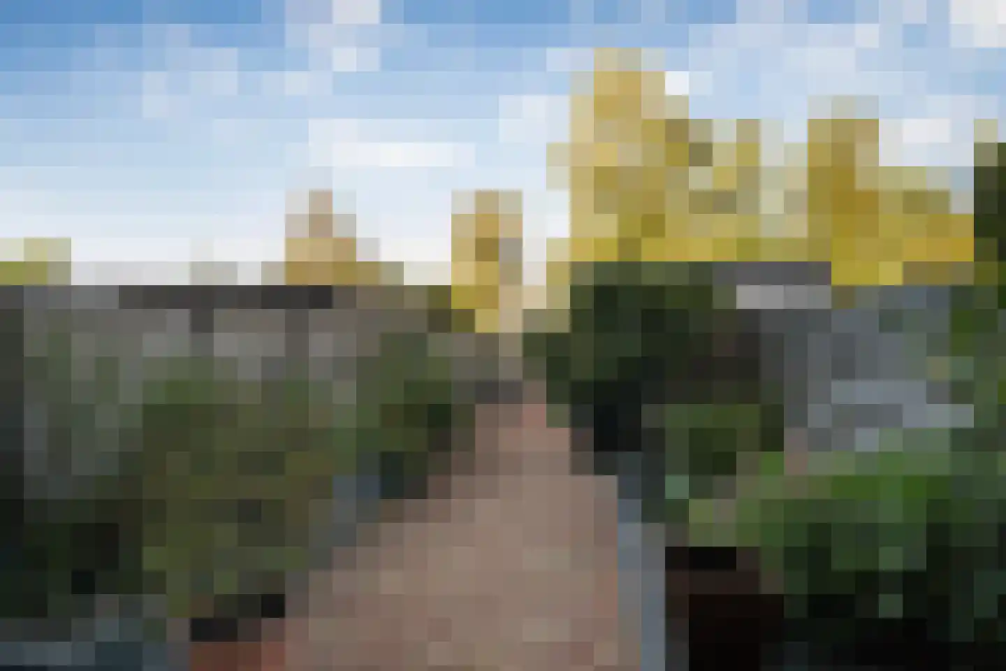 Utrechtlaan 13 Vlaardingen thumbnail 18