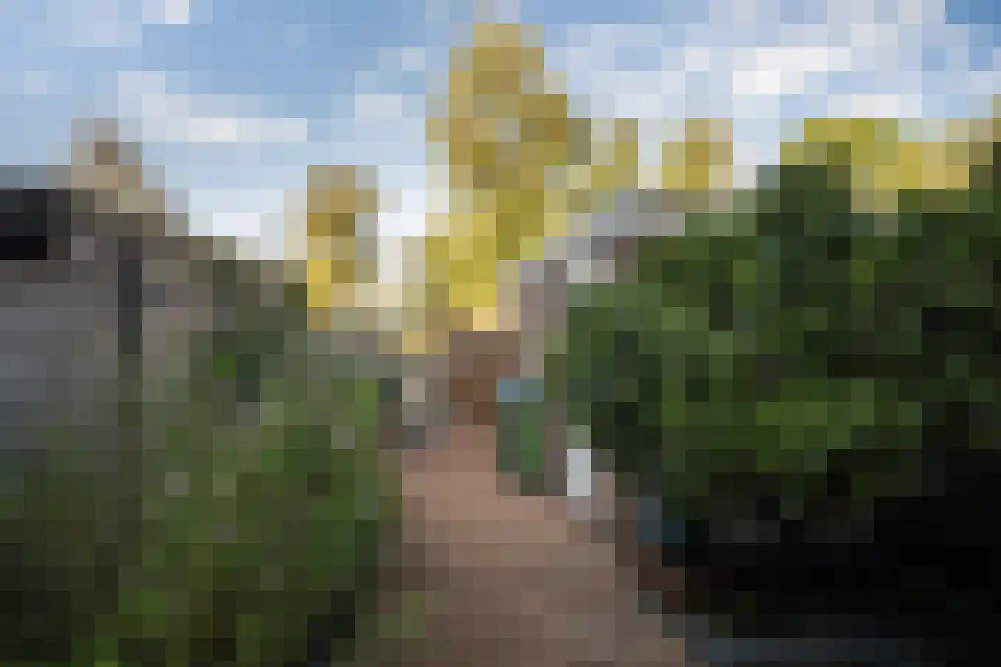 Utrechtlaan 13 Vlaardingen thumbnail 19