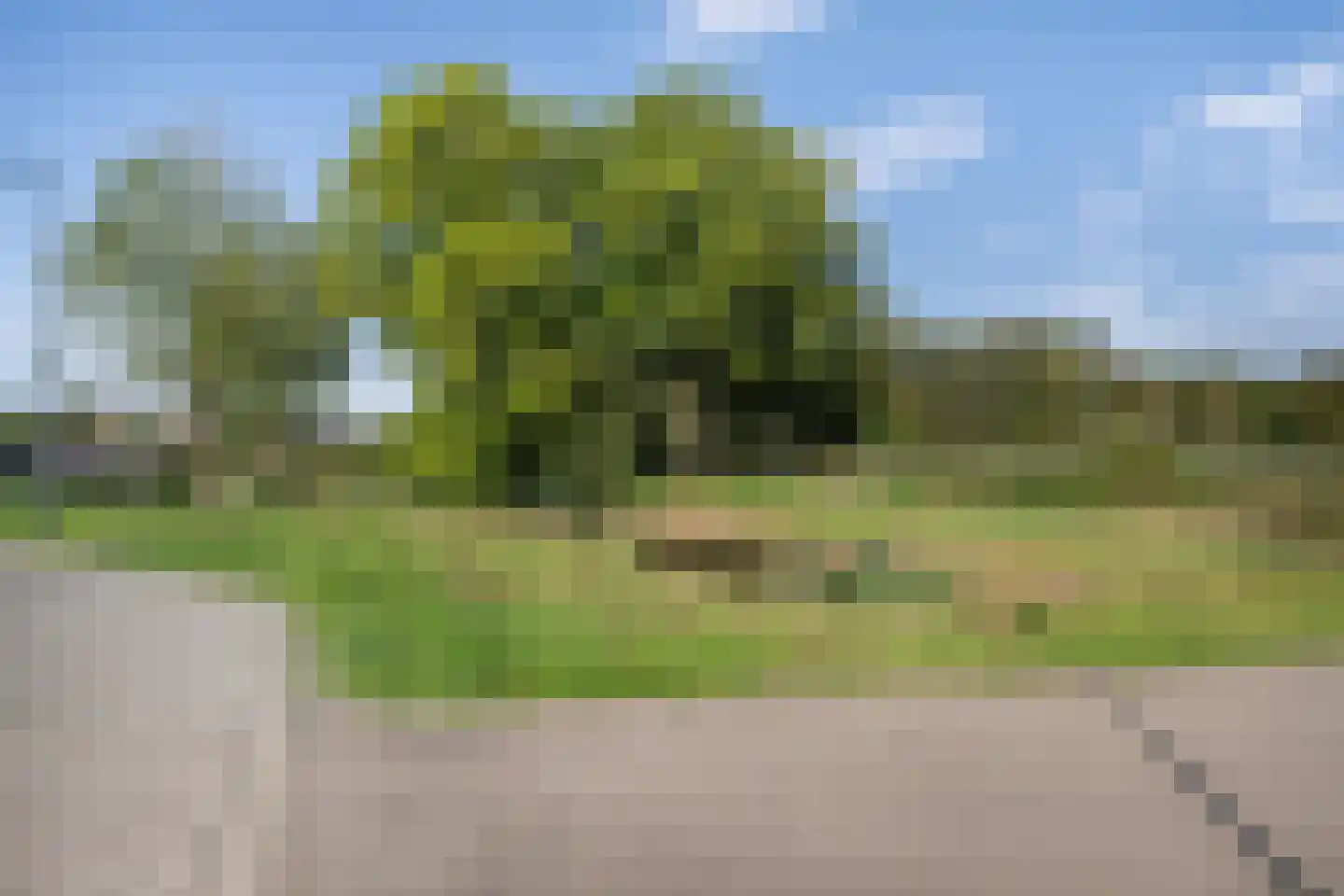 Utrechtlaan 13 Vlaardingen thumbnail 48