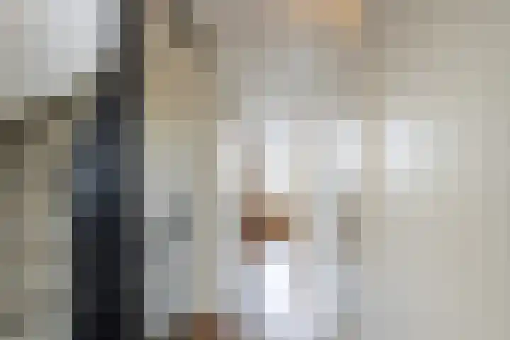 Utrechtlaan 141 Vlaardingen thumbnail 19