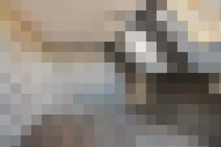 Utrechtlaan 141 Vlaardingen thumbnail 36
