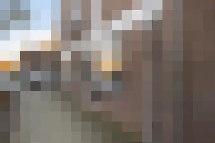 Utrechtlaan 141 Vlaardingen thumbnail 6