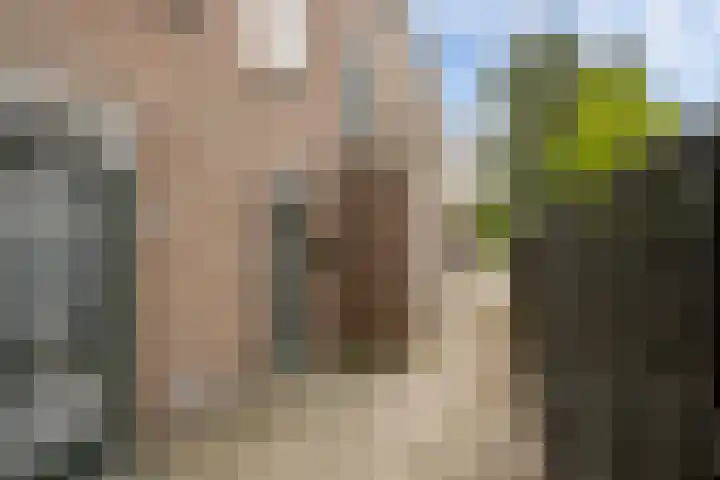 Utrechtlaan 27 Vlaardingen thumbnail 26