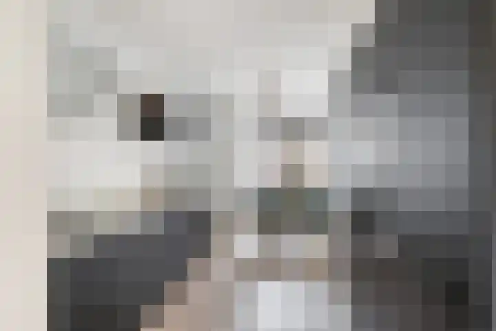 Utrechtlaan 27 Vlaardingen thumbnail 4