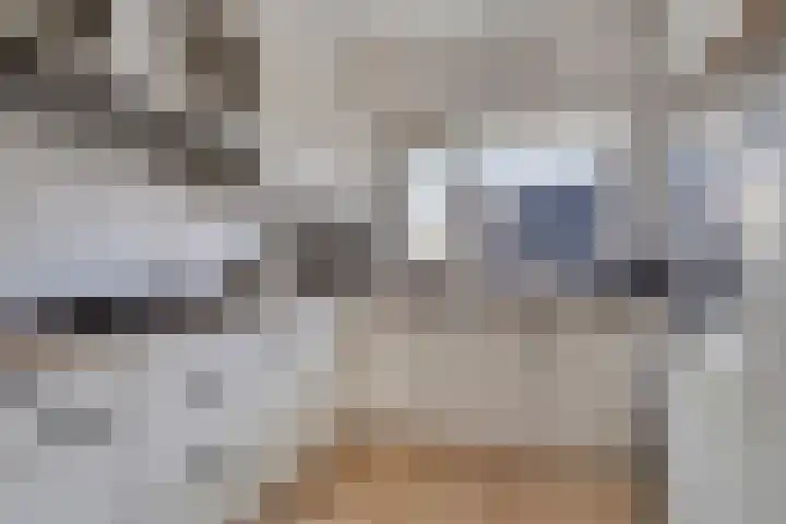 Utrechtlaan 39 Lage Zwaluwe thumbnail 10