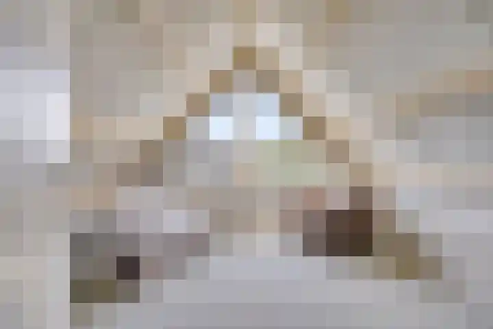 Utrechtlaan 39 Lage Zwaluwe thumbnail 19