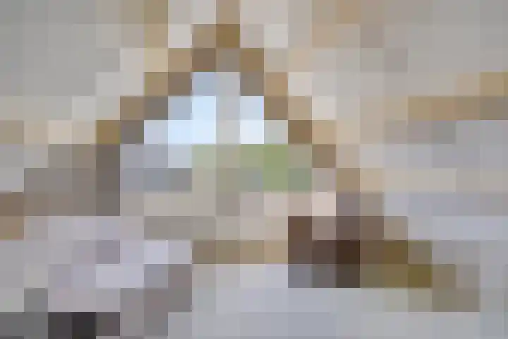 Utrechtlaan 39 Lage Zwaluwe thumbnail 20