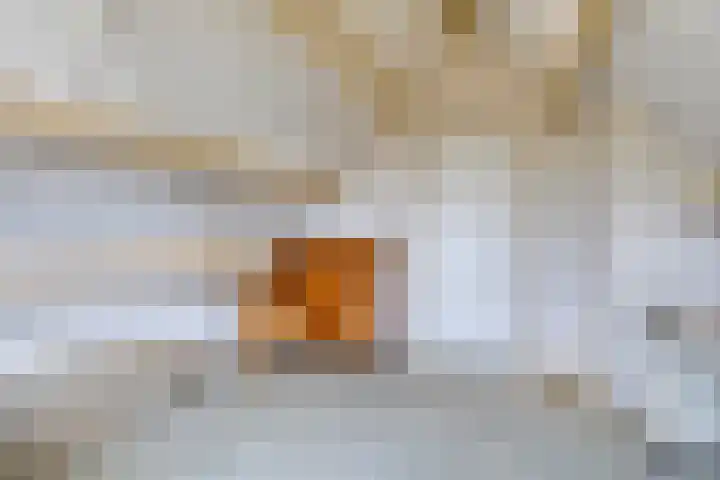Utrechtlaan 39 Lage Zwaluwe thumbnail 21
