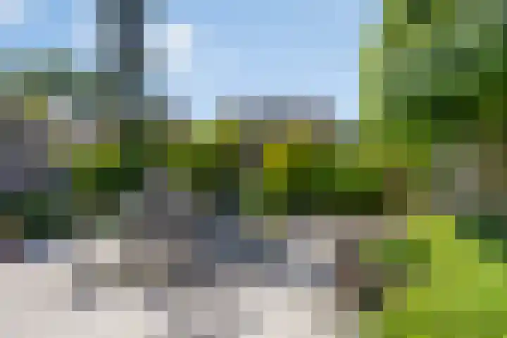 Utrechtlaan 39 Lage Zwaluwe thumbnail 25