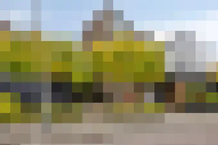 Utrechtlaan 6 in Lage Zwaluwe