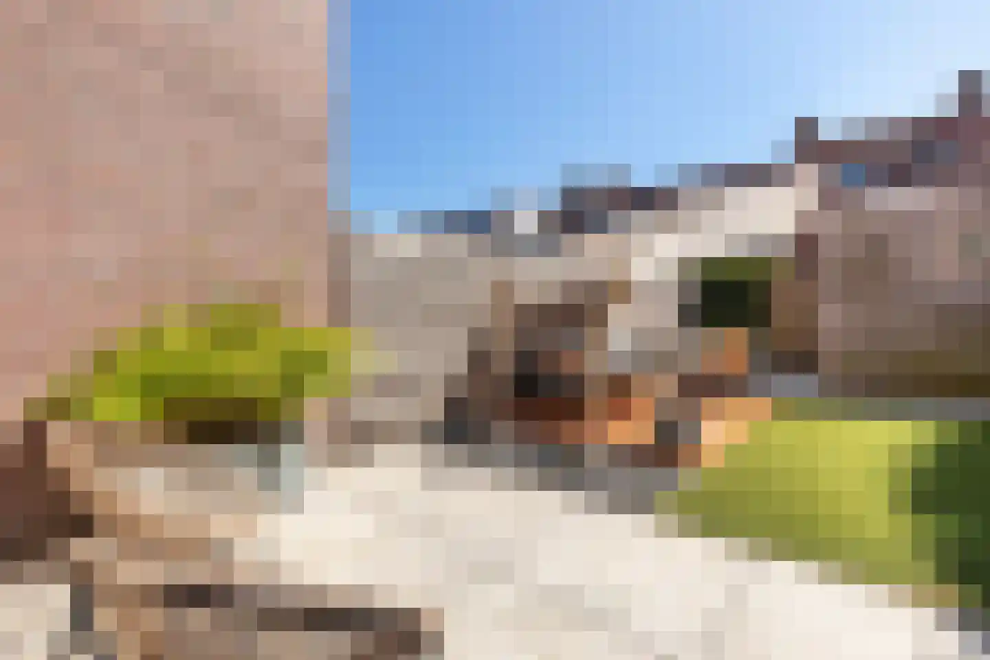 Utrechtlaan 6 Heemstede thumbnail 20