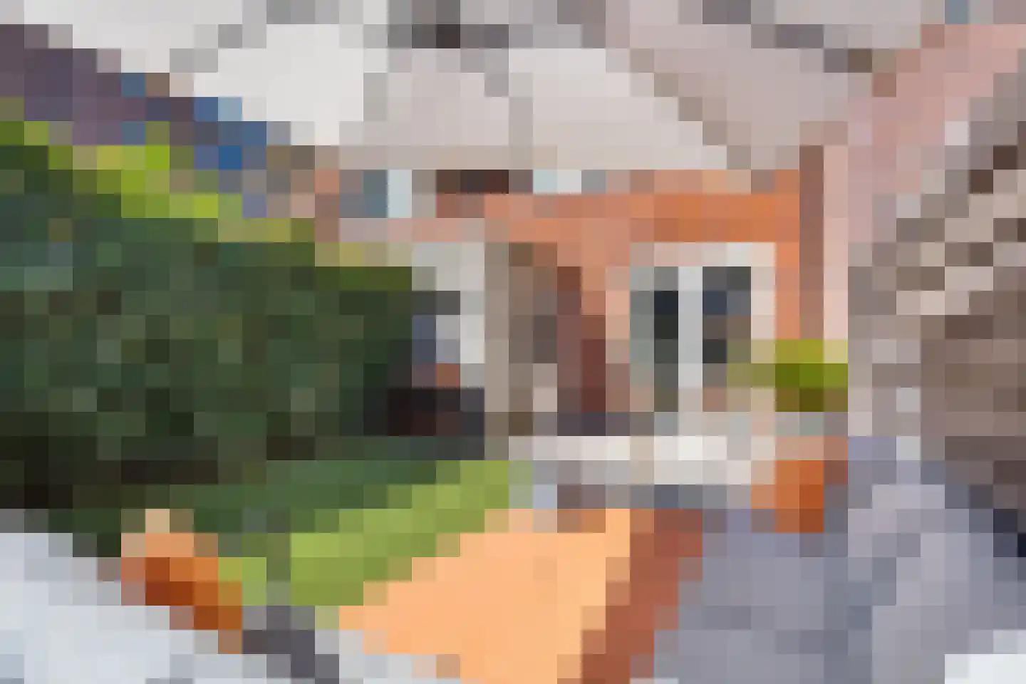 Utrechtlaan 6 Heemstede thumbnail 23