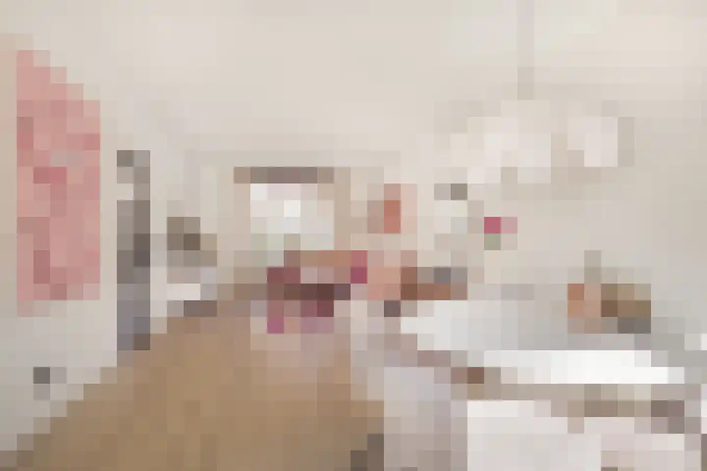 Utrechtlaan 6 Heemstede thumbnail 7