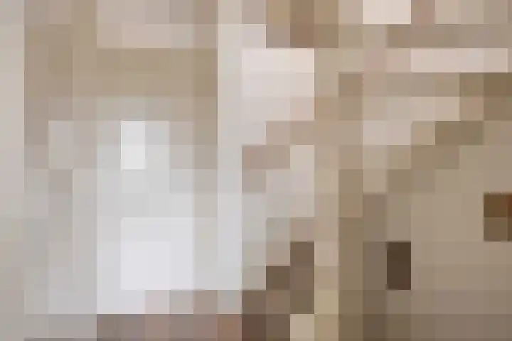Utrechtlaan 6 Lage Zwaluwe thumbnail 15