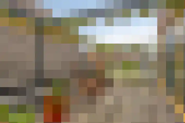 Utrechtlaan 6 Lage Zwaluwe thumbnail 19