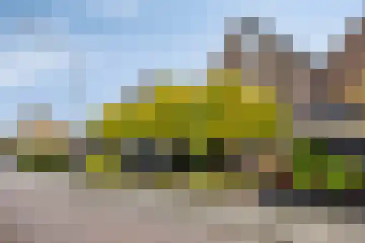 Utrechtlaan 6 Lage Zwaluwe foto 2