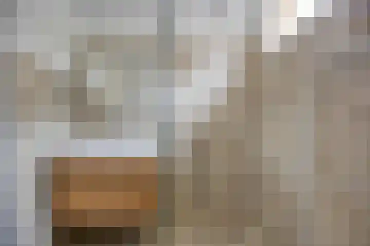 Utrechtlaan 6 Lage Zwaluwe thumbnail 21