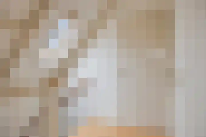 Utrechtlaan 6 Lage Zwaluwe thumbnail 26