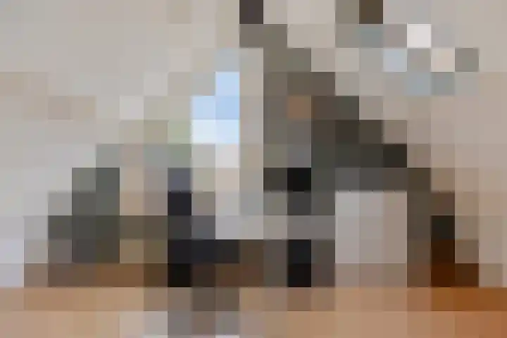 Utrechtlaan 6 Lage Zwaluwe thumbnail 27