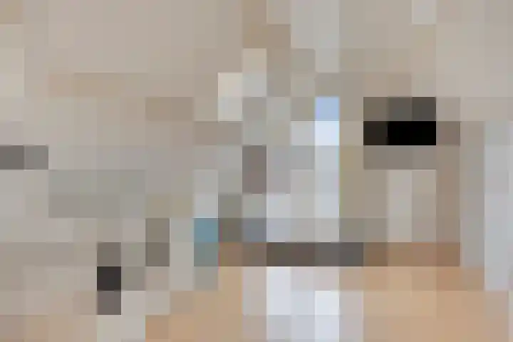 Utrechtlaan 6 Lage Zwaluwe thumbnail 28