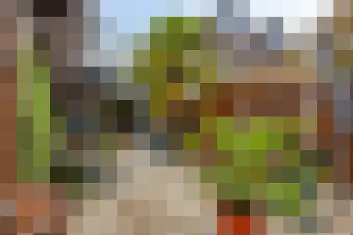 Utrechtlaan 6 Lage Zwaluwe thumbnail 31