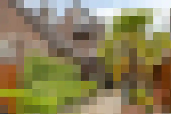 Utrechtlaan 6 Lage Zwaluwe thumbnail 32