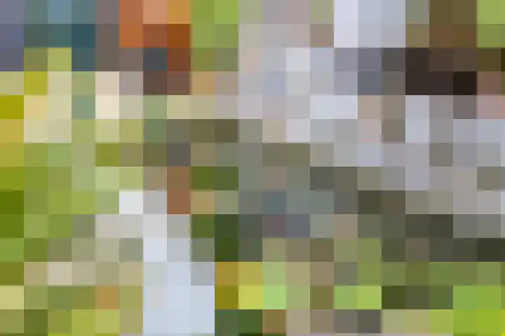 Utrechtlaan 6 Lage Zwaluwe thumbnail 33