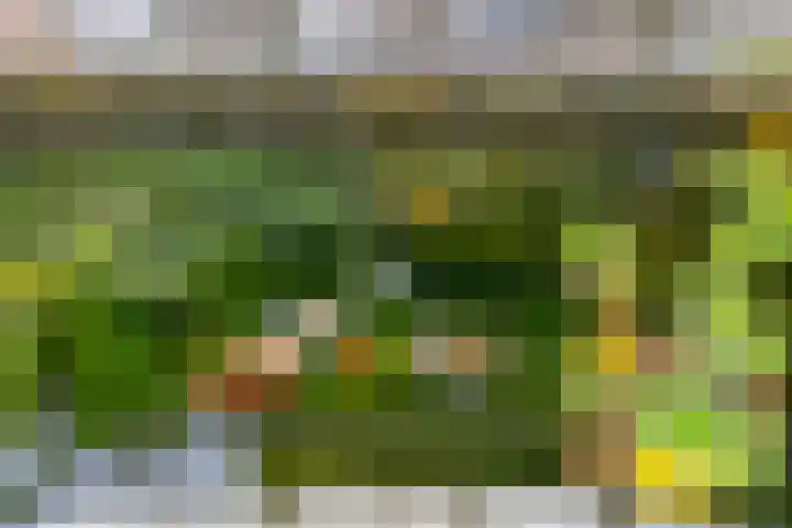 Utrechtlaan 6 Lage Zwaluwe thumbnail 34