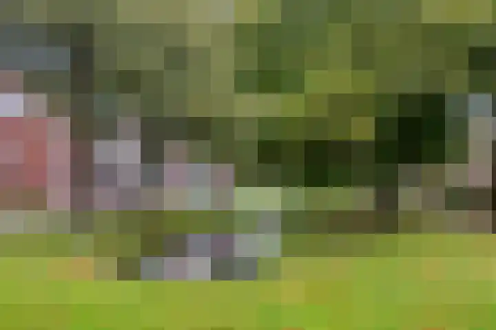 Utrechtlaan 6 Lage Zwaluwe thumbnail 36