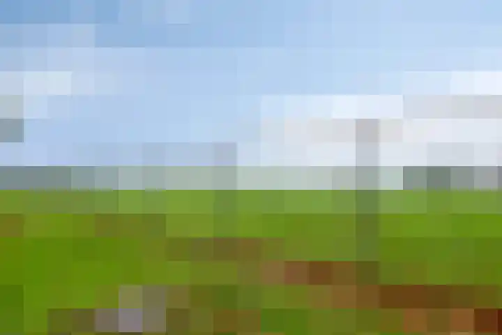Utrechtlaan 6 Lage Zwaluwe thumbnail 37