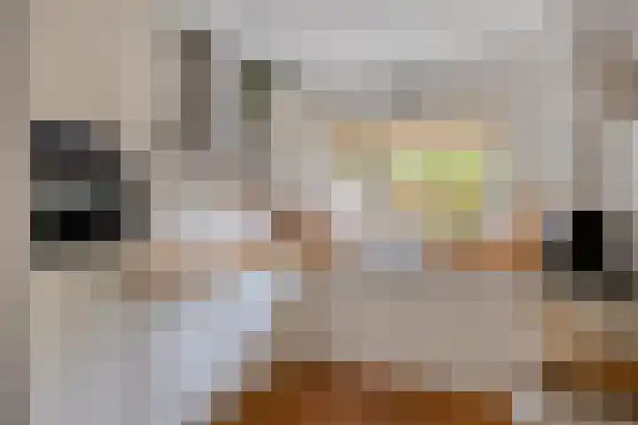 Utrechtlaan 6 Lage Zwaluwe thumbnail 5
