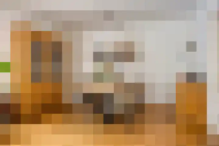 Utrechtlaan 6 Lage Zwaluwe thumbnail 9
