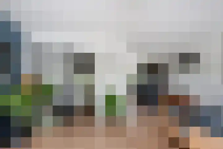 Utrechtlaan 81 Vlaardingen thumbnail 11