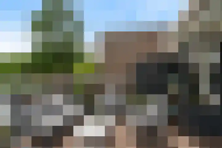 Utrechtlaan 81 Vlaardingen thumbnail 16