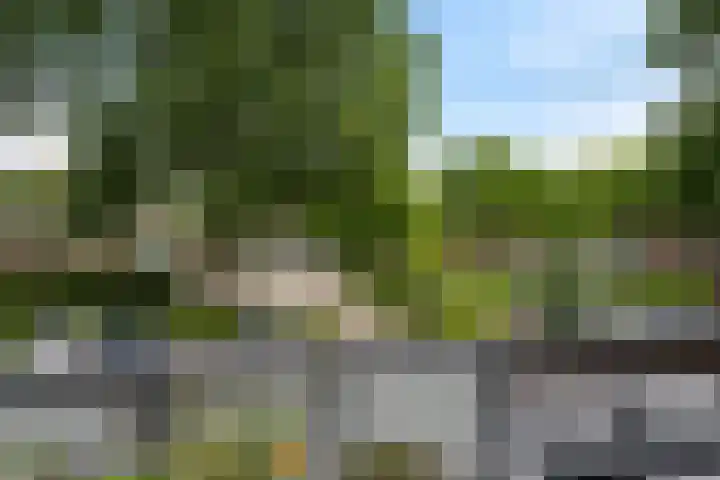 Utrechtlaan 81 Vlaardingen thumbnail 17