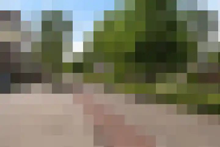 Utrechtlaan 81 Vlaardingen thumbnail 29