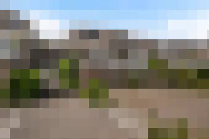 Utrechtlaan 81 Vlaardingen thumbnail 30